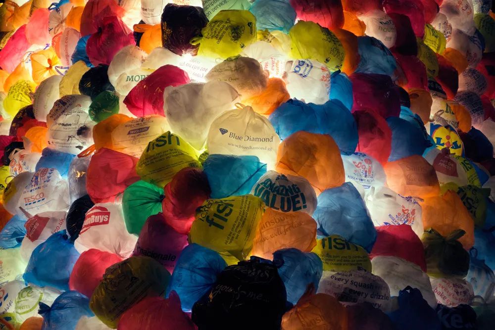 设计师的圣诞树是长什么样？