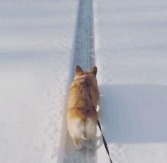 日本“性感小屁屁大赛”，300万网友围观点赞：屁屁虽好，不要贪摸哦