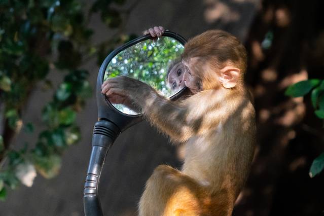 三亚旅游全攻略亚特兰蒂斯,2018最详细的三亚吃货游玩攻略