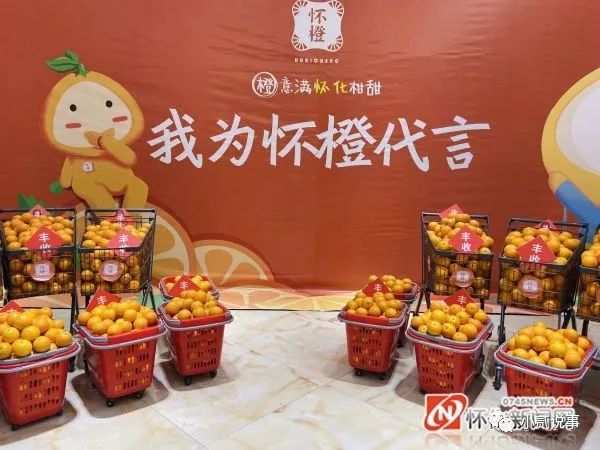 湖南怀化的黔阳冰糖橙,怀化冰糖橙的甜度最高是多少