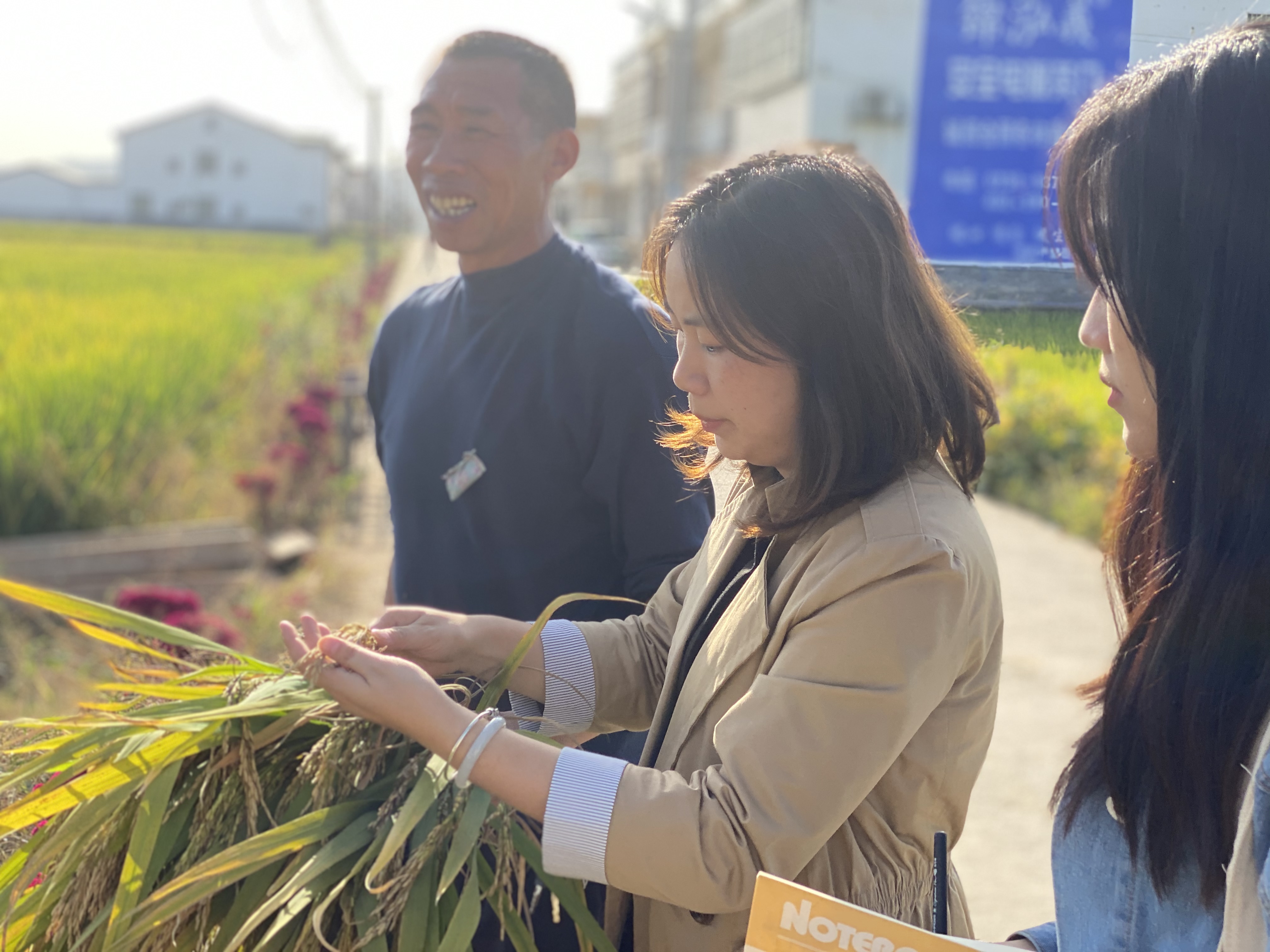 气象局先进典型,县气象局怎么样