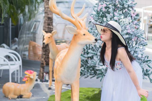 12月底三亚旅行攻略,12月份三亚自由行攻略