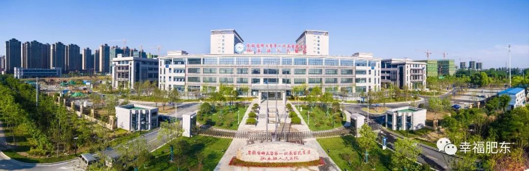 肥东医院最新进展,肥东医院新消息