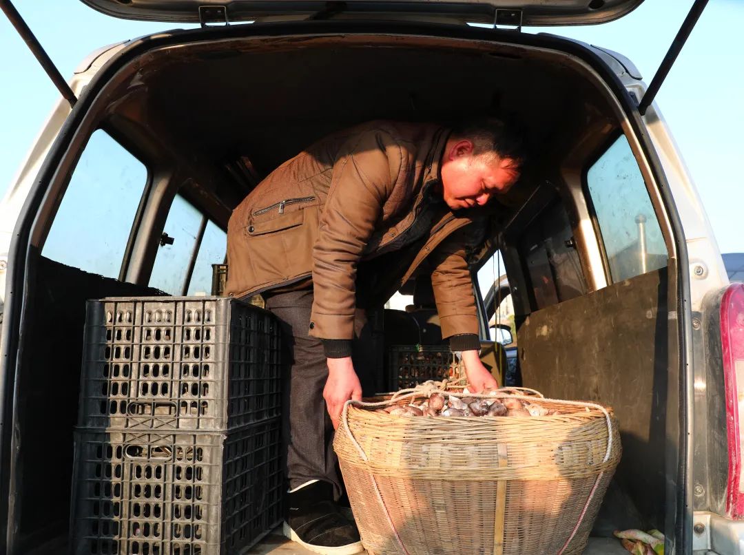 【关注】我县香菇产业飞上《人民日报》，看美味香菇如何做出可口菜肴！