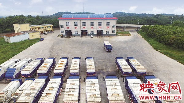 信阳卓东海：甘当城市美容师用汗水换清洁