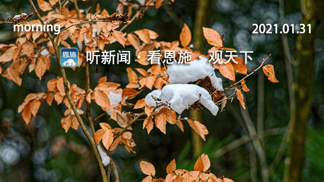 看新闻听新闻联播,听新闻闻天下事