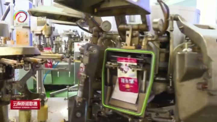 富源魔芋大县打造魔芋产业,富源县富源村魔芋基地