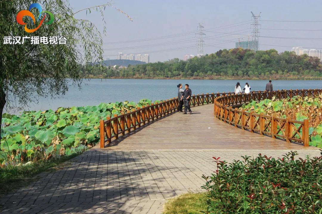 武汉百湖之城全景,武汉第一湿地公园