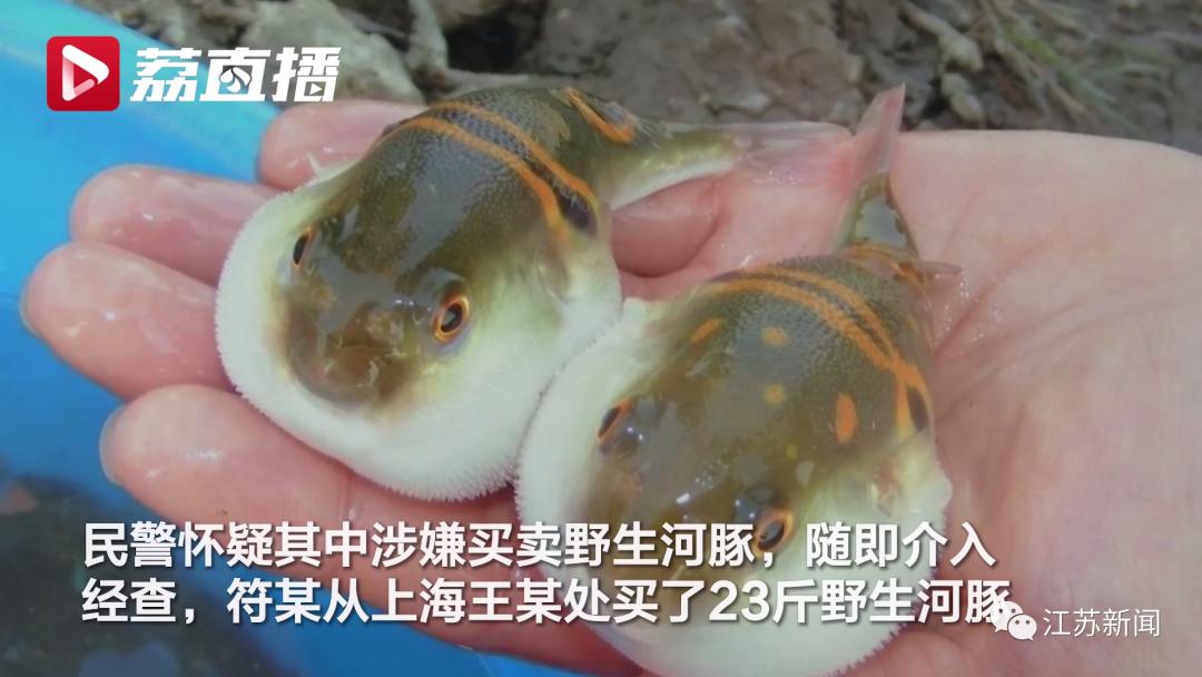 男子聚餐醉酒后死亡法院这样判,男子做了一道菜好友中毒