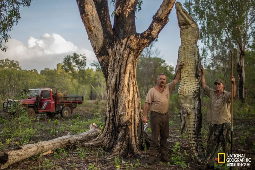 槌勯奔鑱屼笟鐚庝汉,槌勯奔鐚庝汉骞磋柂