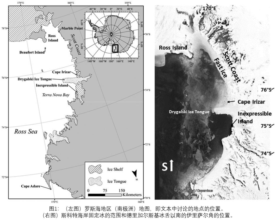鍦板鍓嶆部geology璁烘枃瀵艰,鍦板鍓嶆部sci璁烘枃涓婚