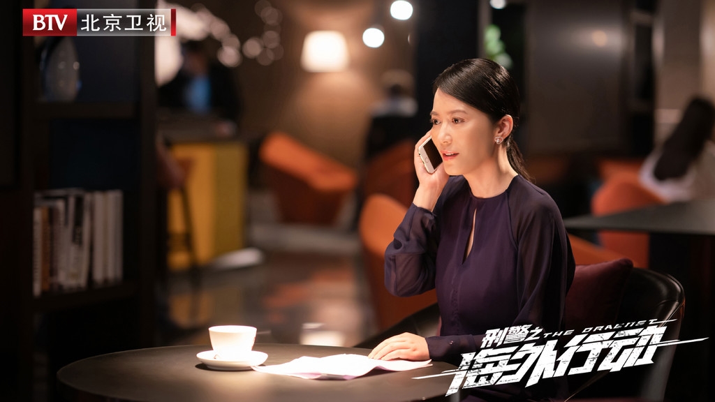 刑警海外追逃电视剧,跨国追逃3000万大结局