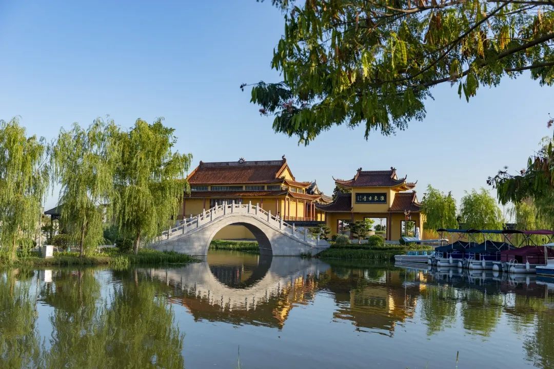 带你看盐城风景,牛年看牛展2021新春展等你来打卡