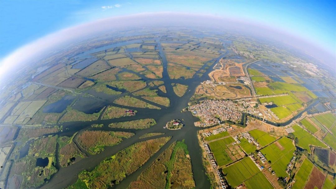 带你看盐城风景,牛年看牛展2021新春展等你来打卡