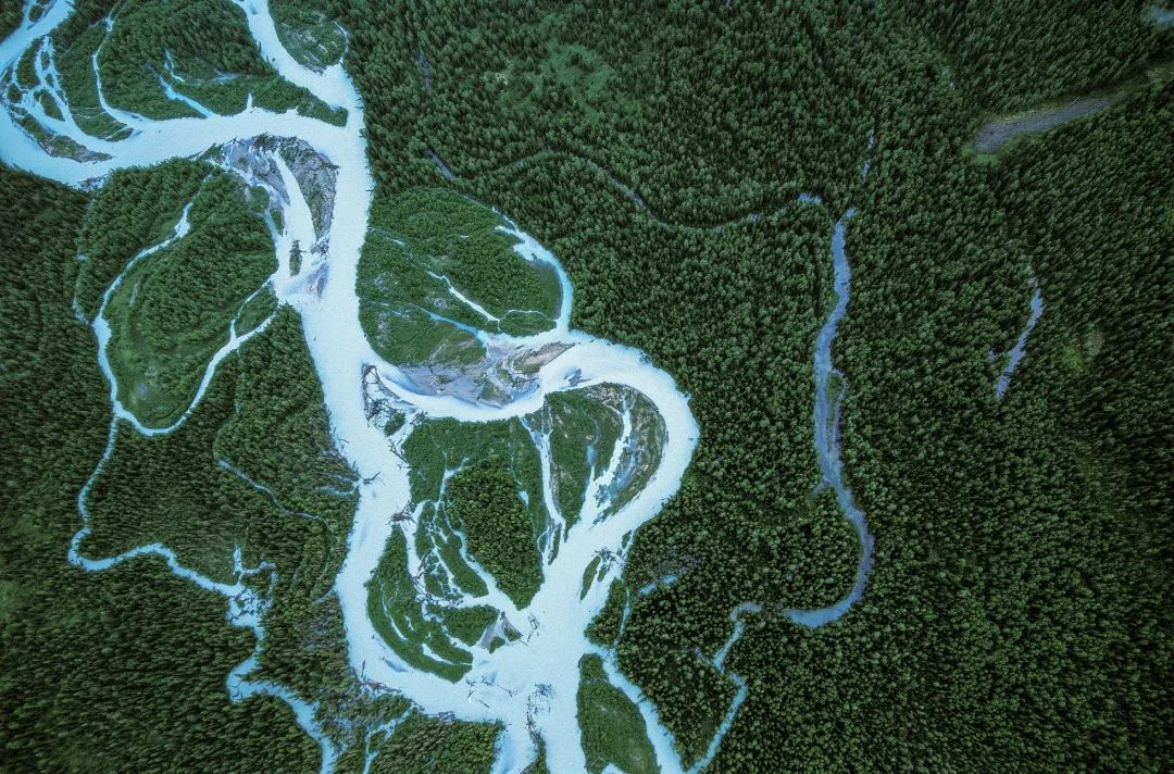 图解20,回望2020展望2021图片