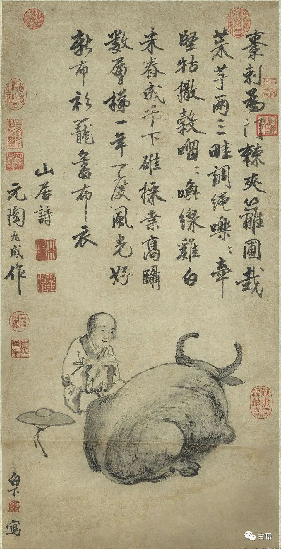 丑牛的闲话视频,闲话丑牛完整视频