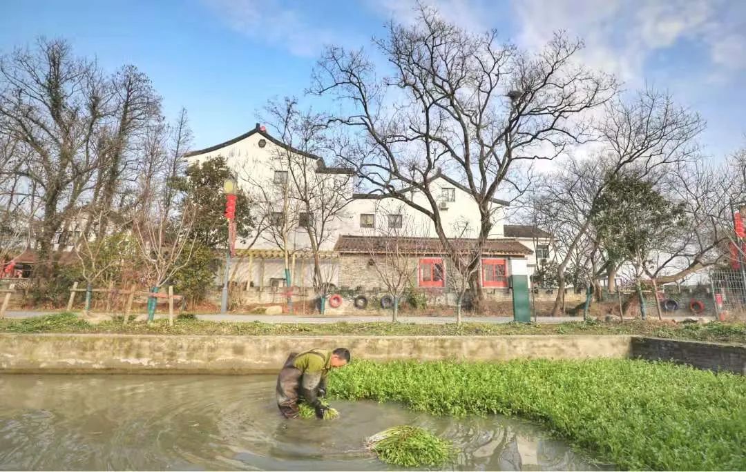 无锡口味独特吗,无锡的味道