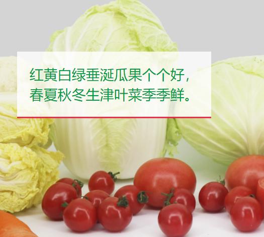 全球十强农业公司名单排名,全球百强企业排行