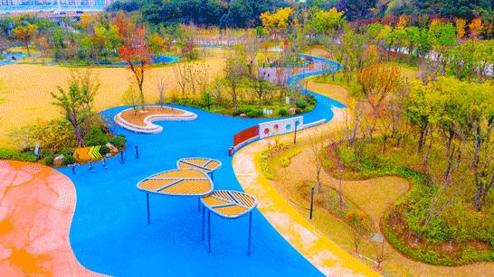 体育公园真人秀,网红体育公园