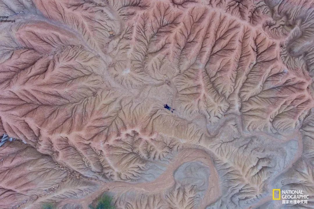 如果你是上帝,现在你是上帝2