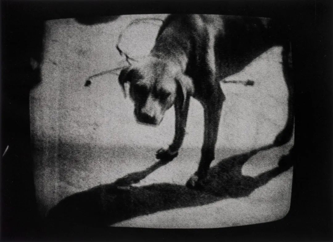 相片有点模糊怎么搞清楚一点,照片模糊不清怎么修复