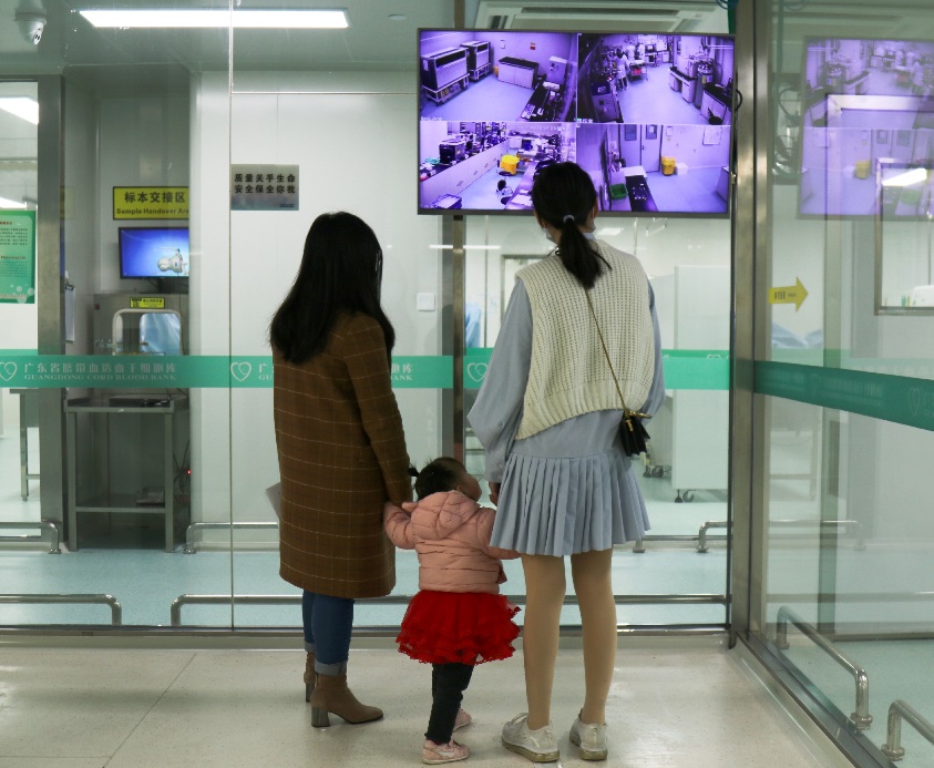 脑瘫自体脐血治疗方案,脐带血自体回输