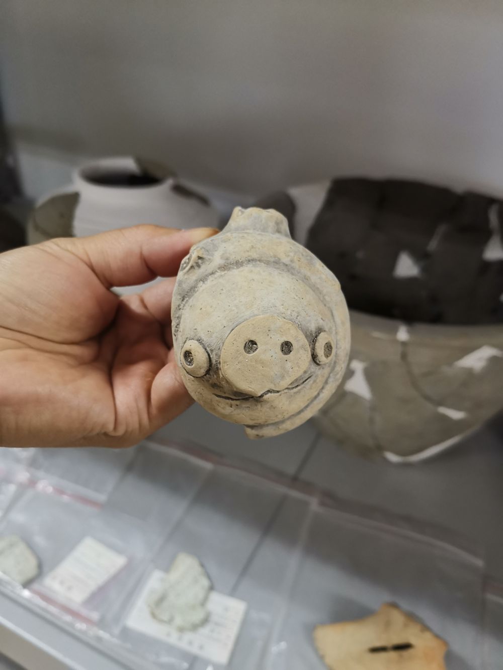 愤怒的小鸟是借鉴了三星堆吗,三星堆愤怒的小鸟原视频