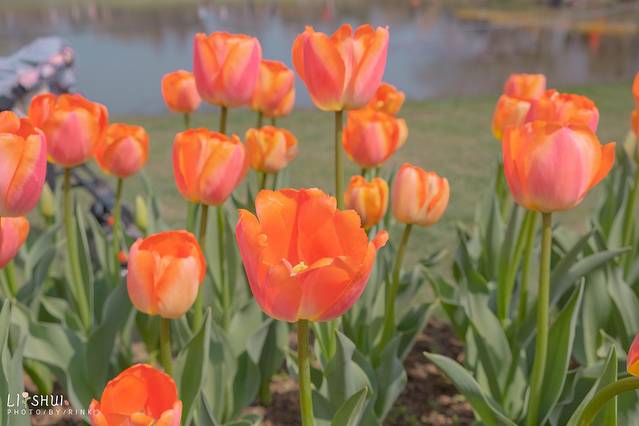 绘画我和春天有个约会,亲子绘画我和春天有个约会