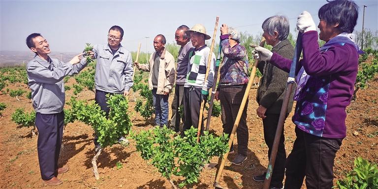 村里来了扶贫人,农村企业家带领全村致富