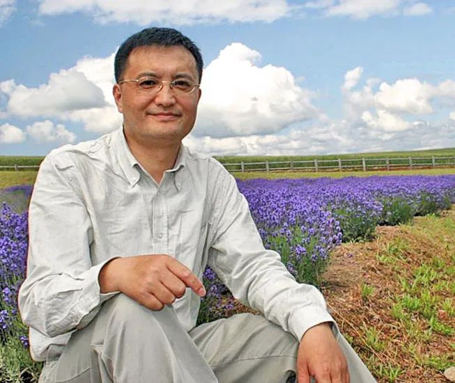 我在台湾讲真实的*疆新**，果不其然…