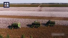 我在台湾讲真实的*疆新**，果不其然…