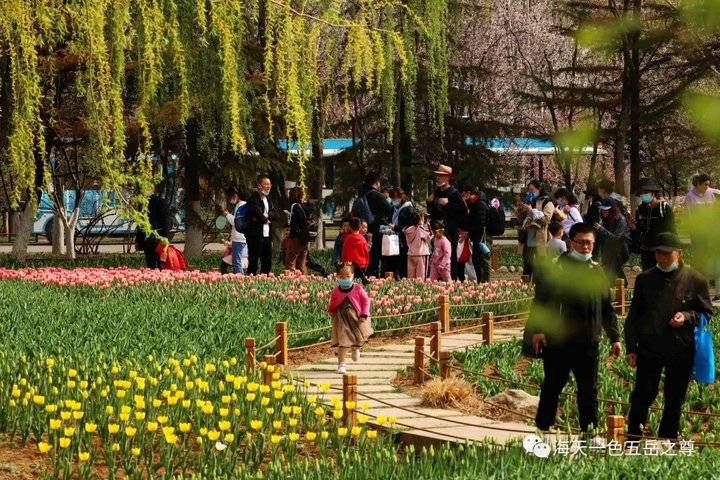 清明时节万物清新,清明万物新