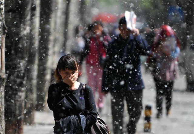 柳絮满天飞浑身痒痒,怎么缓解柳絮过敏引起的眼睛痒