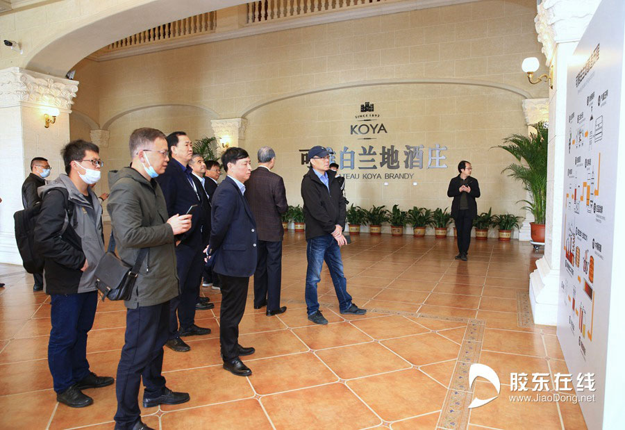 从世界金奖到全球盲品冠军可雅白兰地的百年荣光