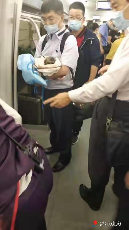 孕妇候车室里突然分娩,孕妇紧急分娩机场救护车秒变产房