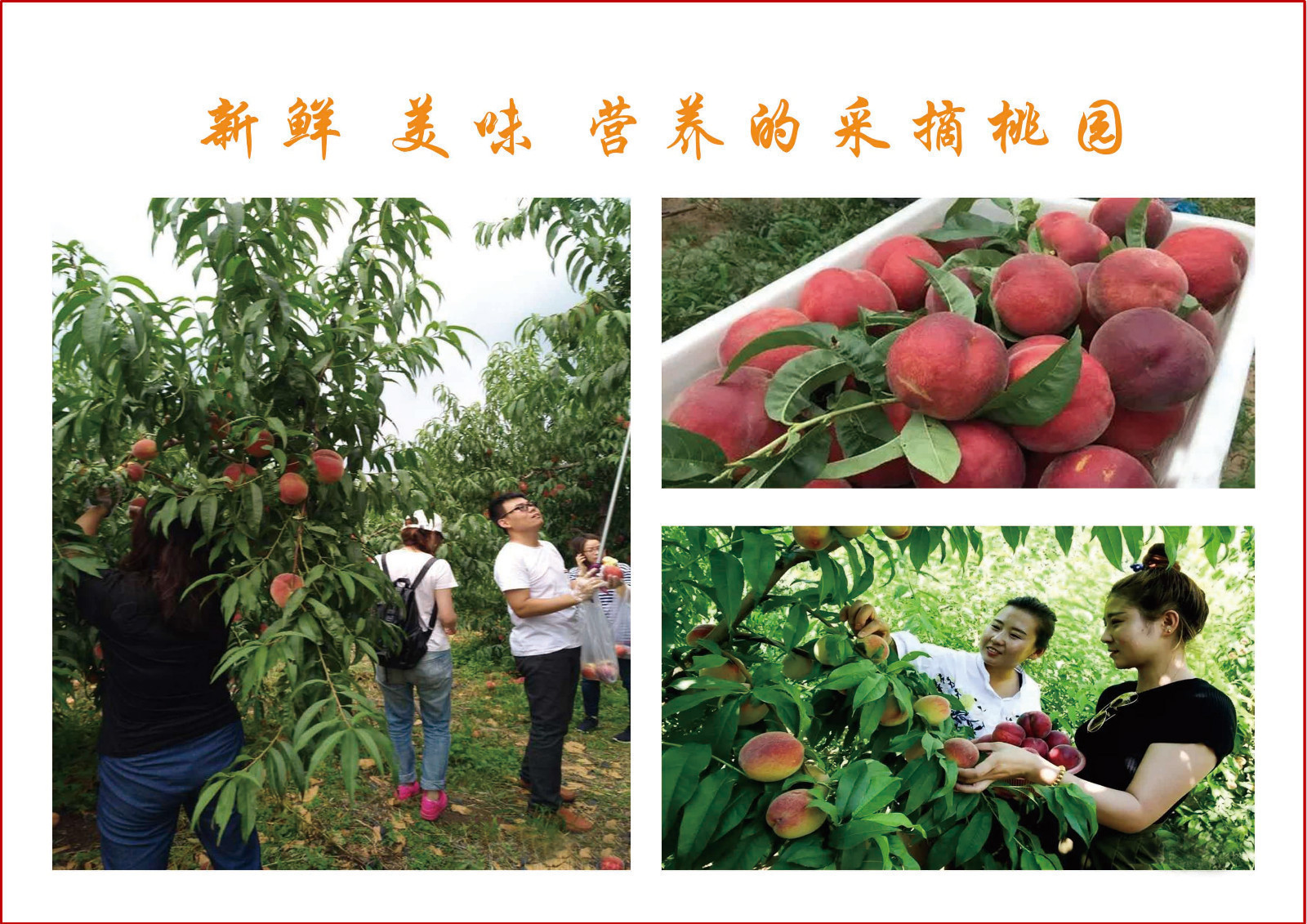 卧龙文化艺术节,美丽卧龙文化旅游节开幕