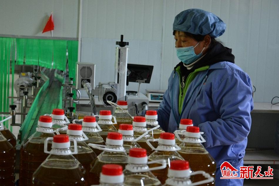 滴滴醇香油为农民致富搭“金桥”