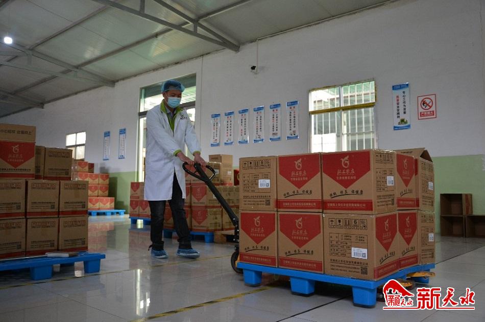 滴滴醇香油为农民致富搭“金桥”