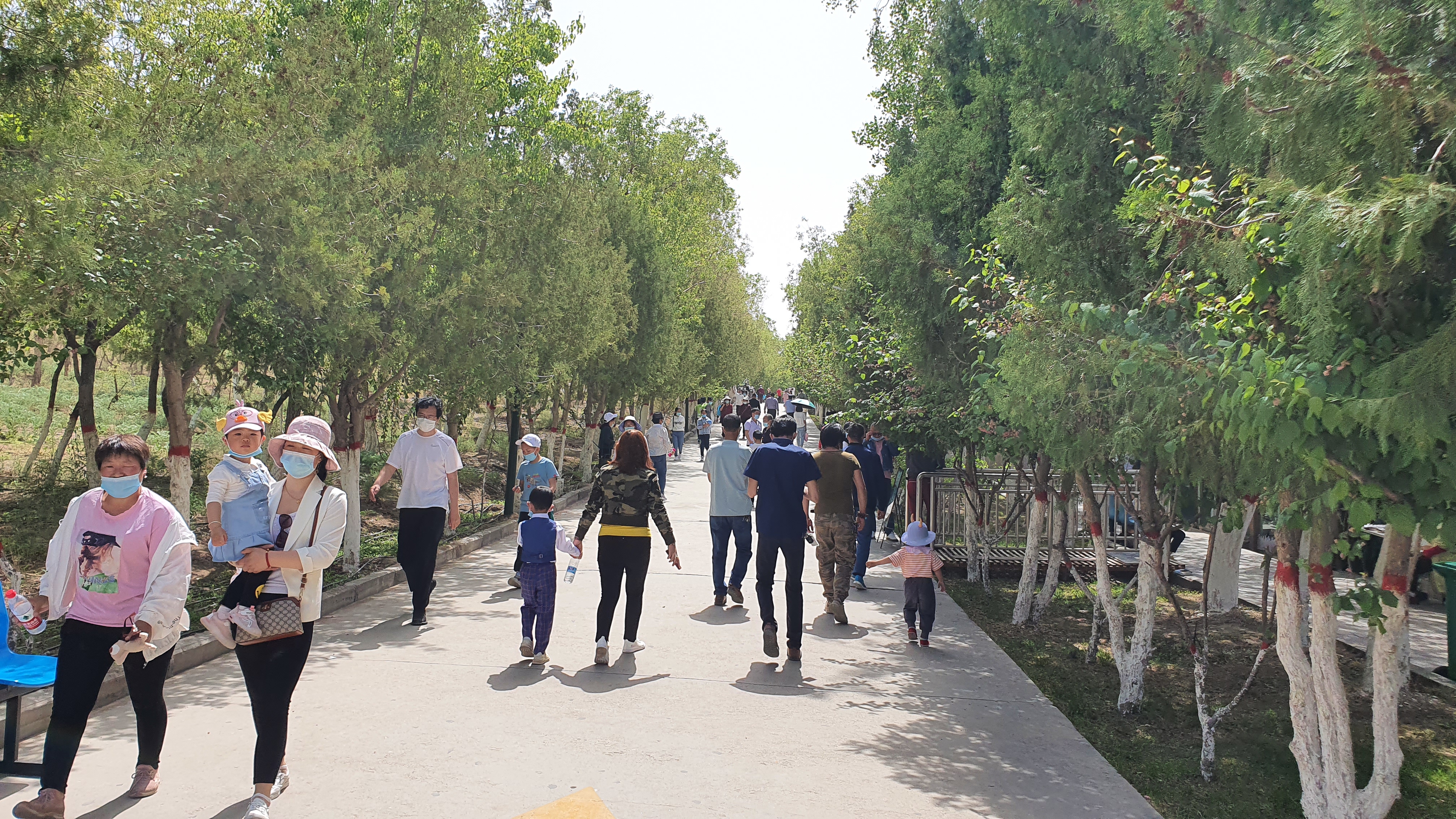 去龙山公园游玩日记100个字,龙山公园游玩视频