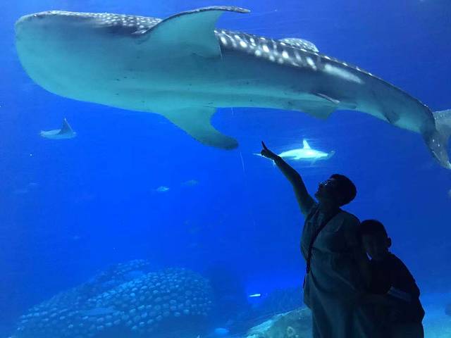 五一打卡珠海，雨神与我们同在