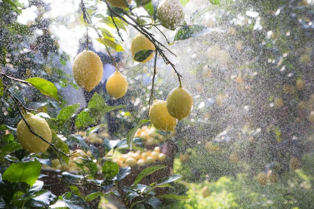 创建天府旅游名县乐至进行时,新起点高质量建设天府旅游名县