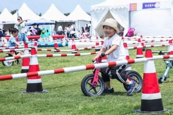 上海紫色花海熏衣草公园,上海最大的薰衣草