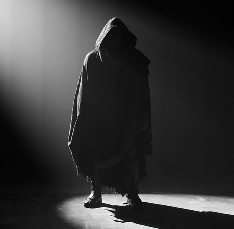 巨石强森一行人来到花果山,凯文哈特巨石强森狮子王