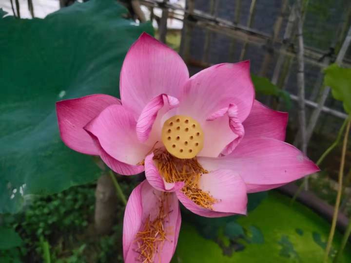 专业摄影师驾到,摄影师驾到统统闪开