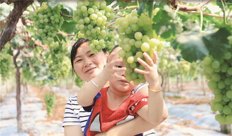 盐城马拉松出行路线,盐城马拉松对盐城市有好处吗