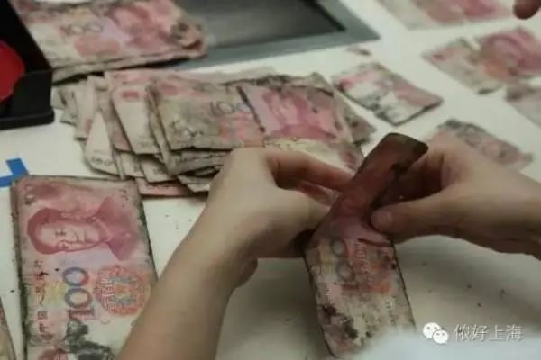 车发霉进icu,车子室内发霉