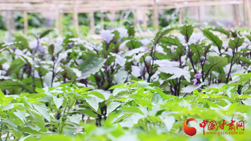 鍖椾含绗簩瀹為獙灏忓浼樿壇浼犵粺,鍖椾含绗簩瀹為獙灏忓鐖辩殑鏁欒偛