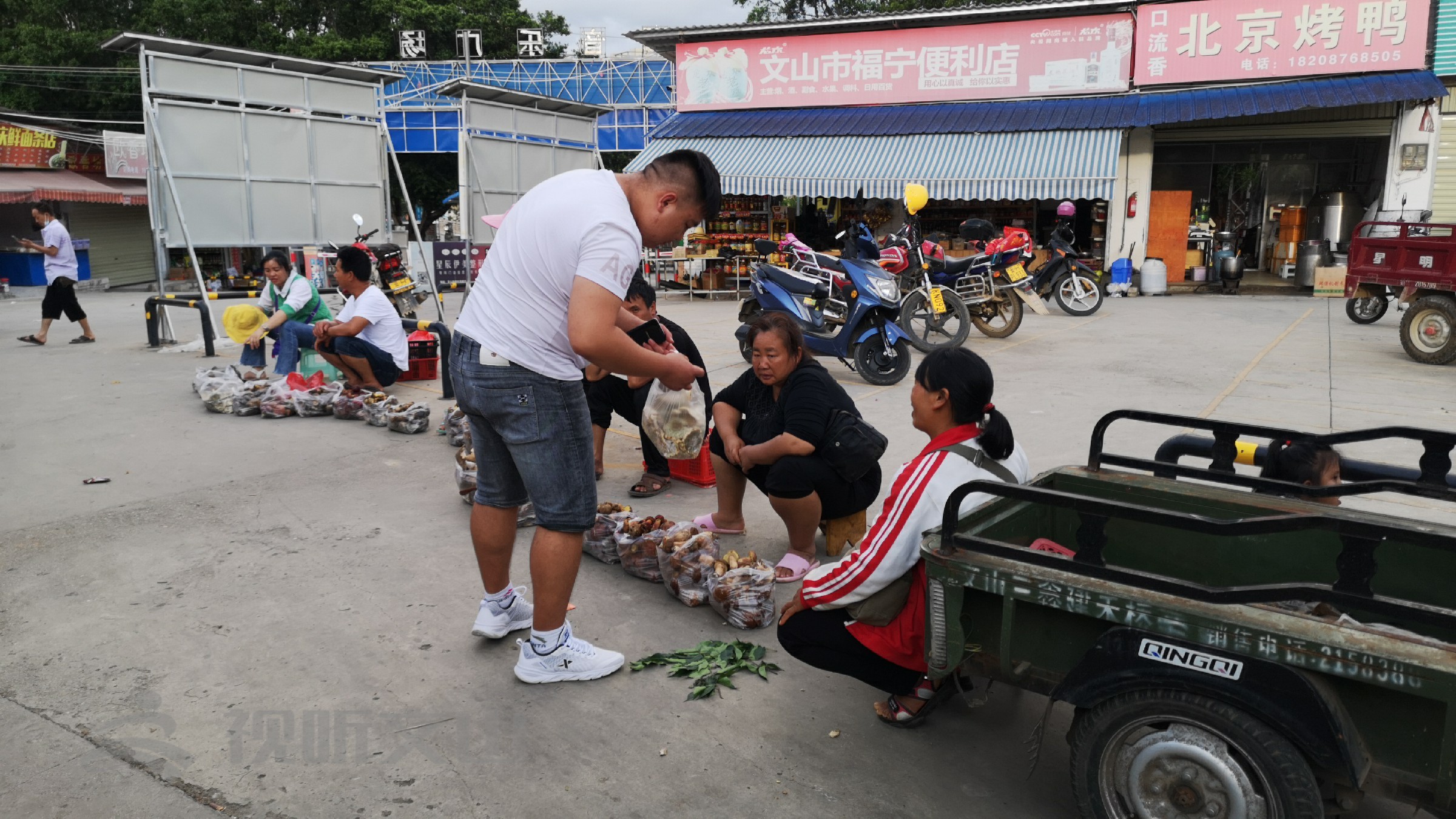 2021年文山野生菌上市情况,文山野生菌已陆续上市