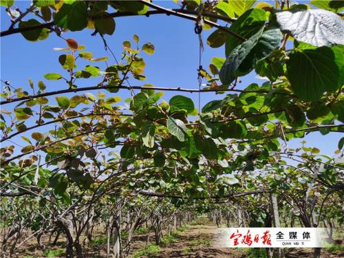 宝鸡红色故事丨热血丹心铸丰碑，革命烈士马德、余政的英雄事迹