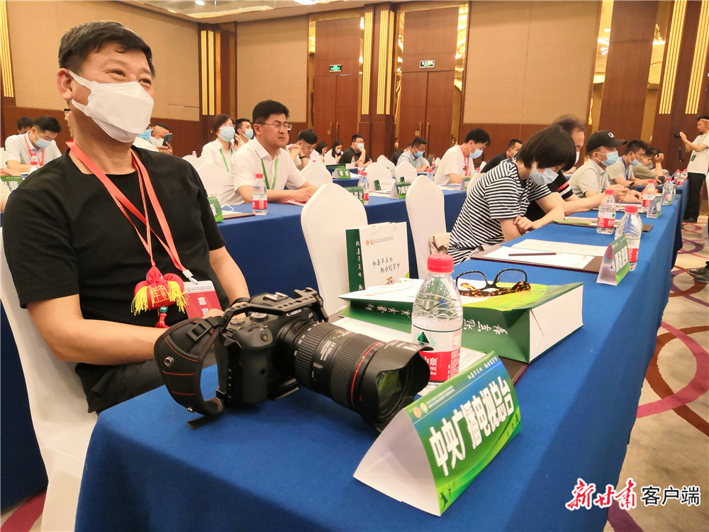 甘肃环县种羊,甘肃庆阳环县羊羔肉